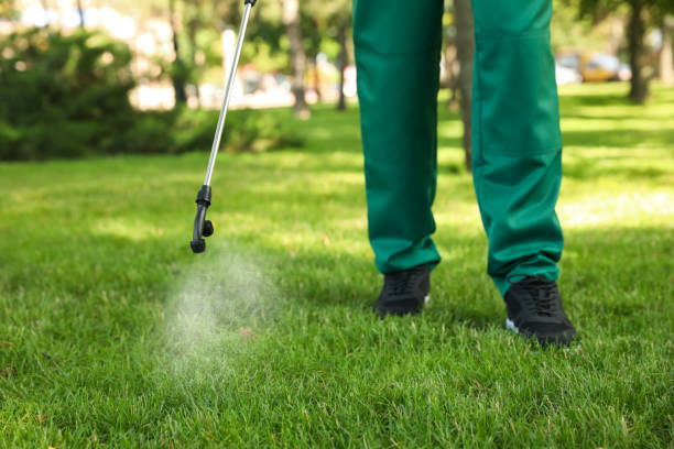 Best Mosquito Control Services  in Albany, TX