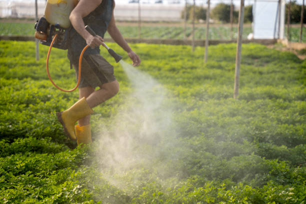 Best Affordable Pest Control Services  in Albany, TX