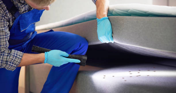 Best Cockroach Control Services  in Albany, TX
