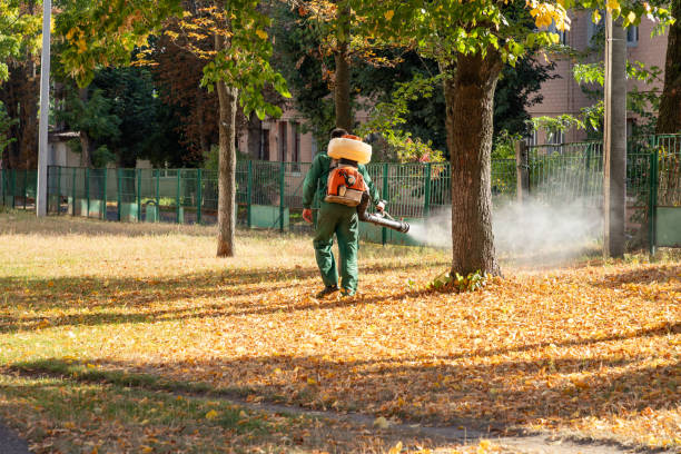 Trusted Albany, TX Pest Control Experts