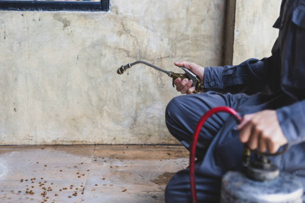 Albany, TX Pest Control Pros