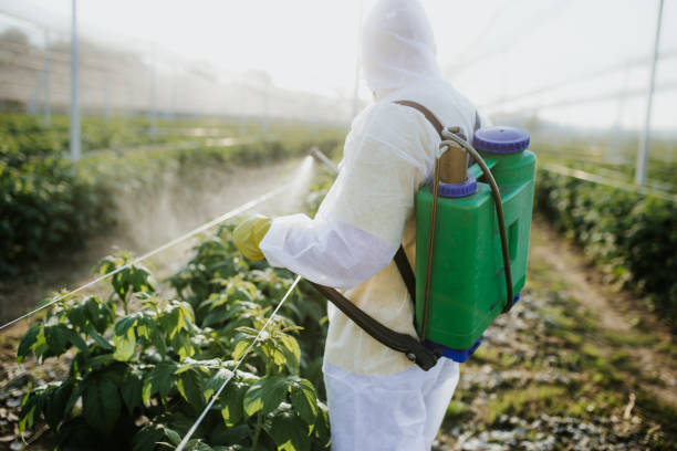 Best Wildlife Control Services  in Albany, TX